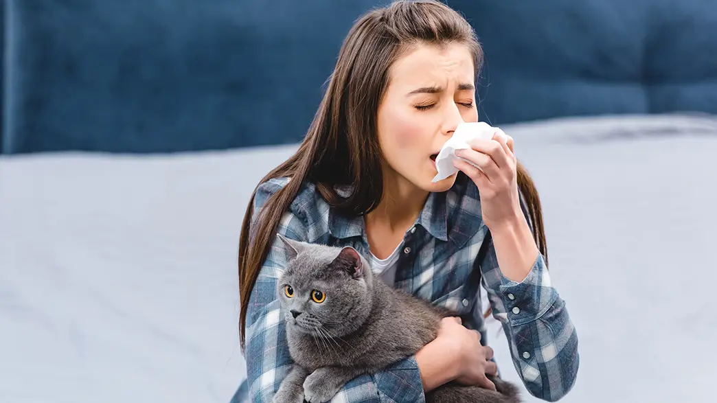 A young woman sneezing while sitting on a couch with her cat on her lap